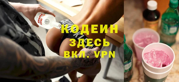 дживик Бронницы
