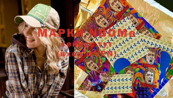 дживик Бронницы