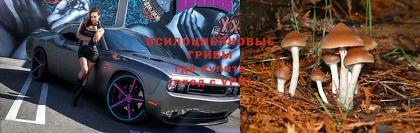 прущий лед Бугульма