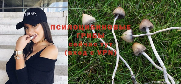 экстази Бородино
