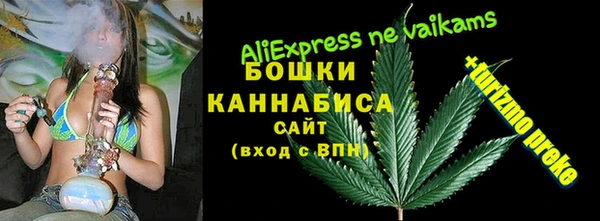 экстази Бородино